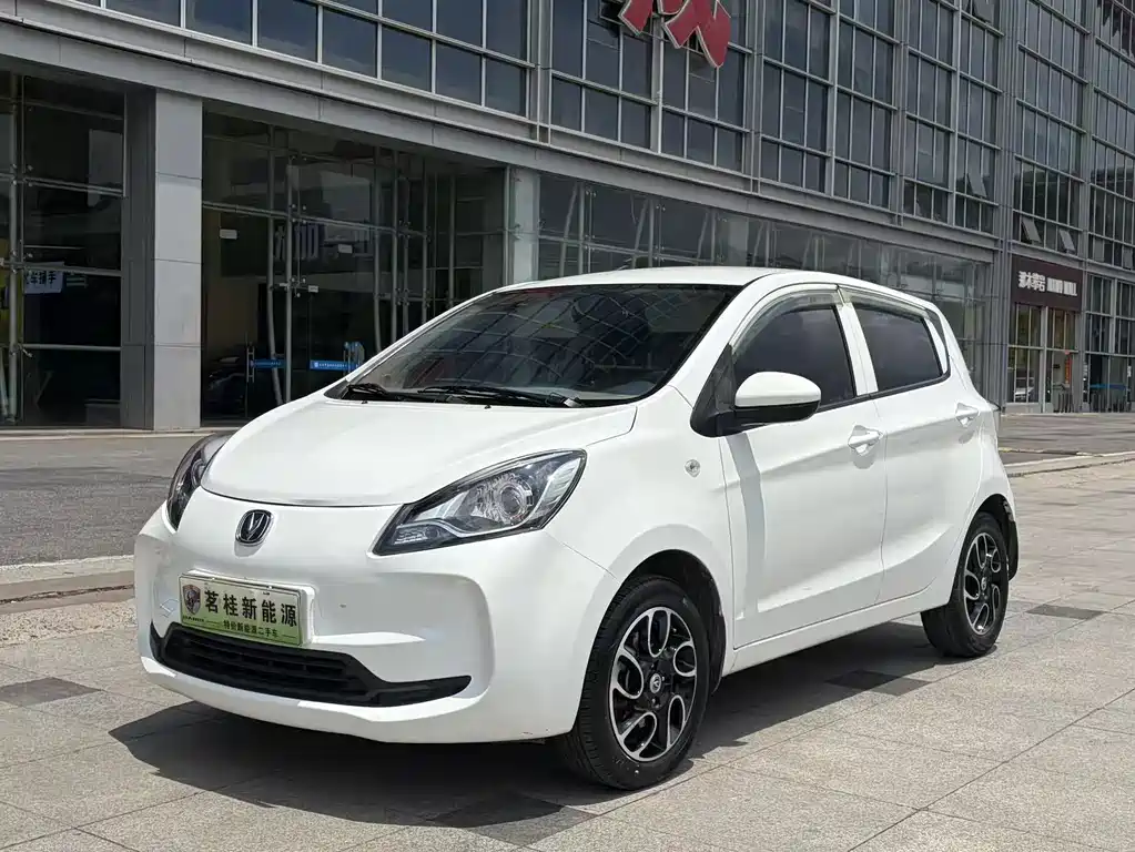 2022 Changan Benni EC/EV - zdjęcie 1 z 15