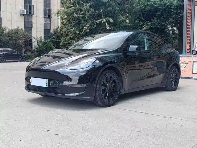 TESLA MODEL Y 2021