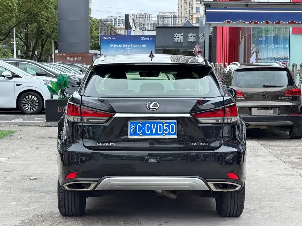 Lexus RX — миниатюра 11