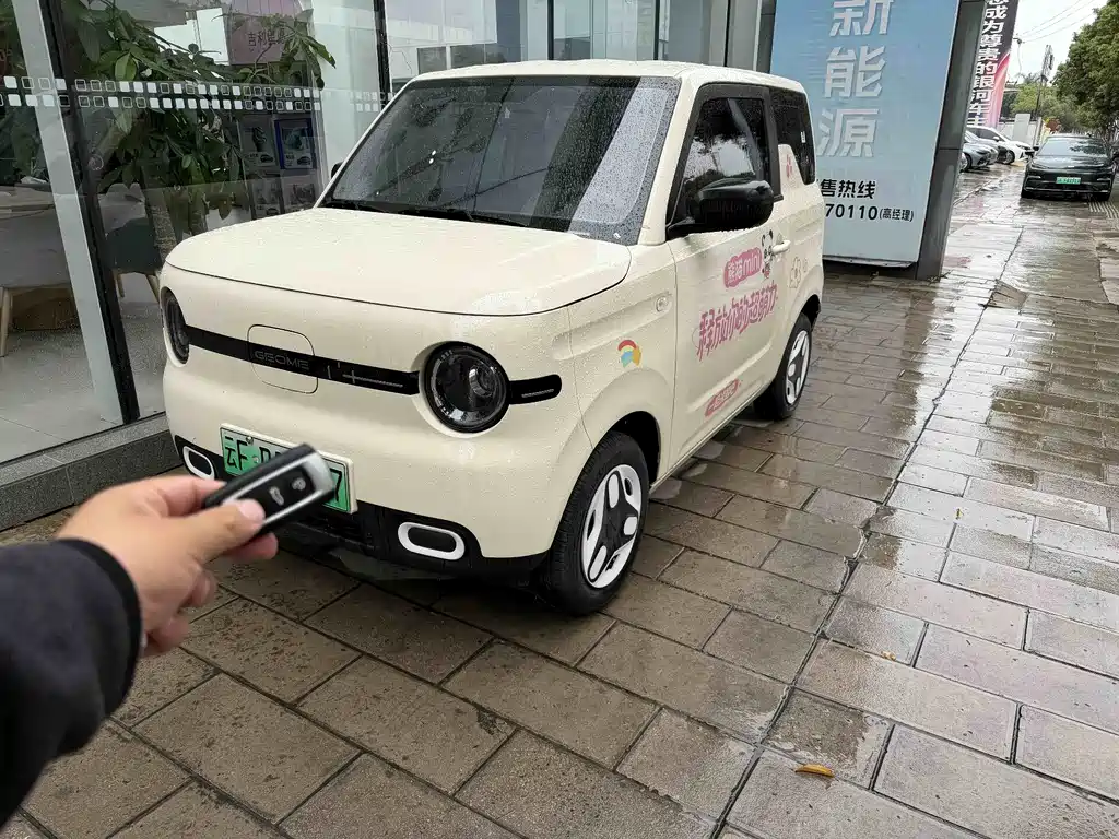 Geely