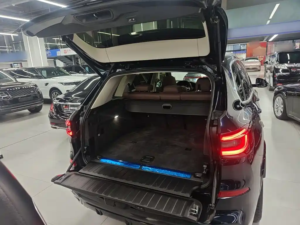 BMW X5 New Energy (Import) — миниатюра 19
