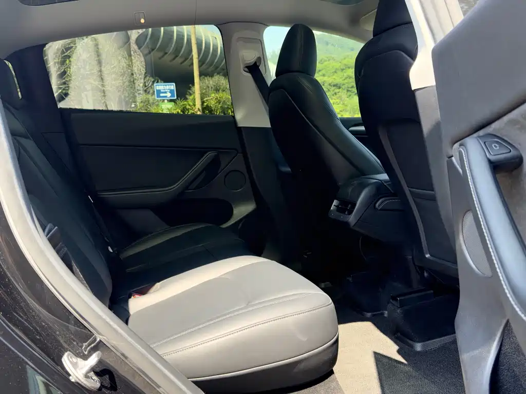 Tesla Model Y — миниатюра 9