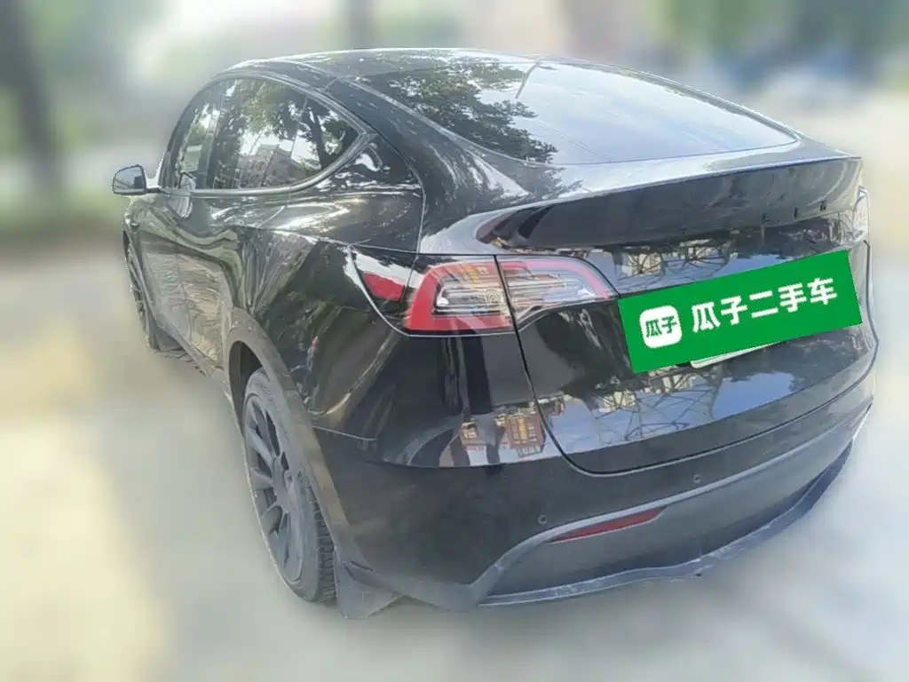 Tesla Model Y — миниатюра 7