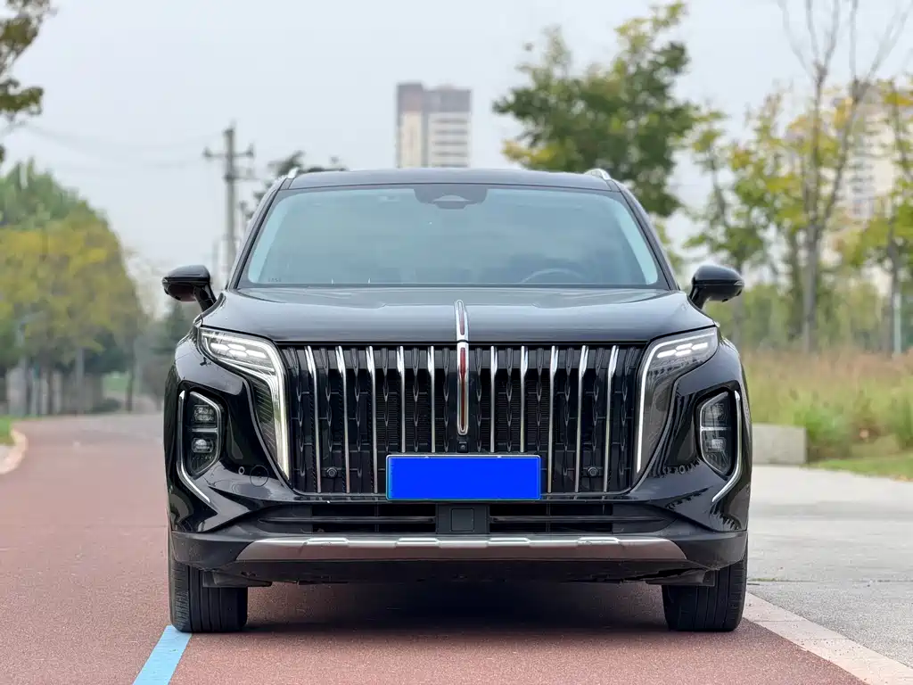 Hongqi Hongqi HS7 PHEV — миниатюра 2