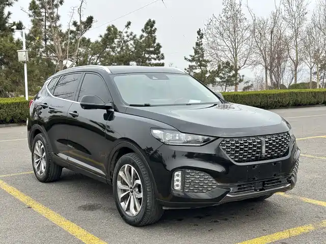 2020 Wey VV6