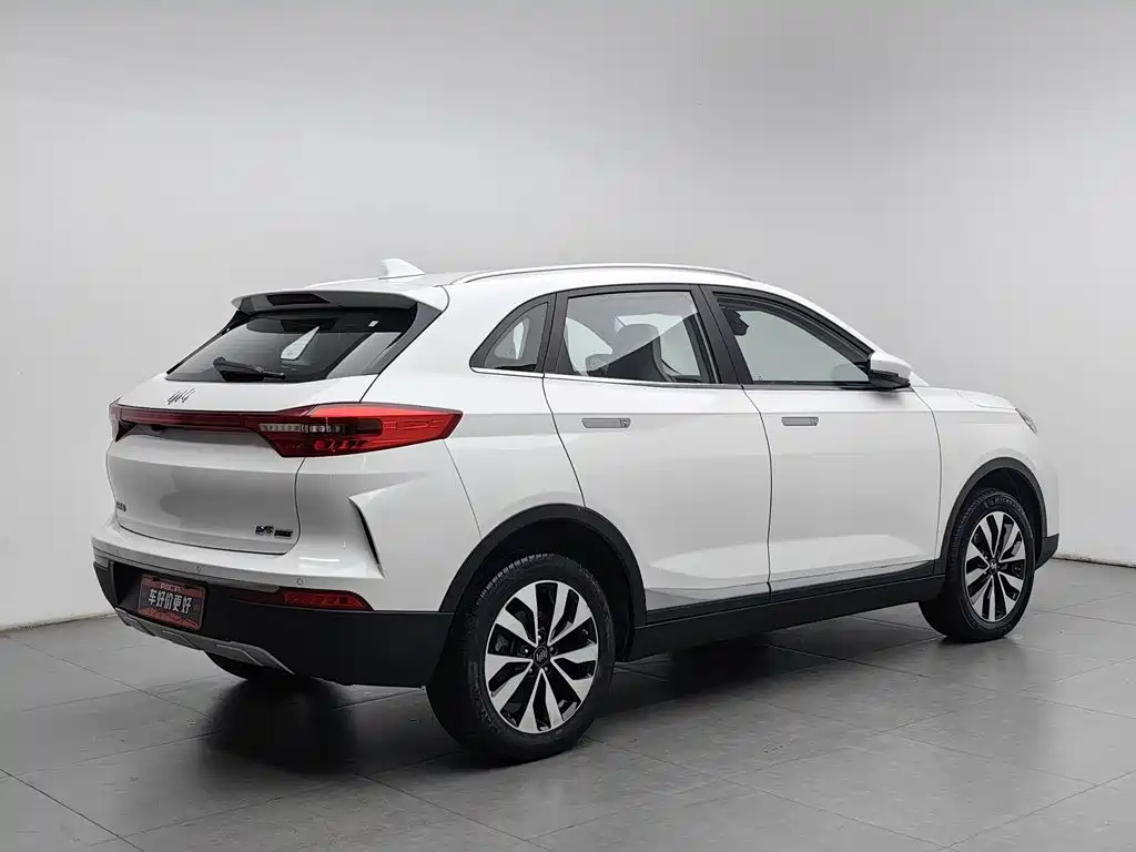 WM Motor EX5 — миниатюра 2