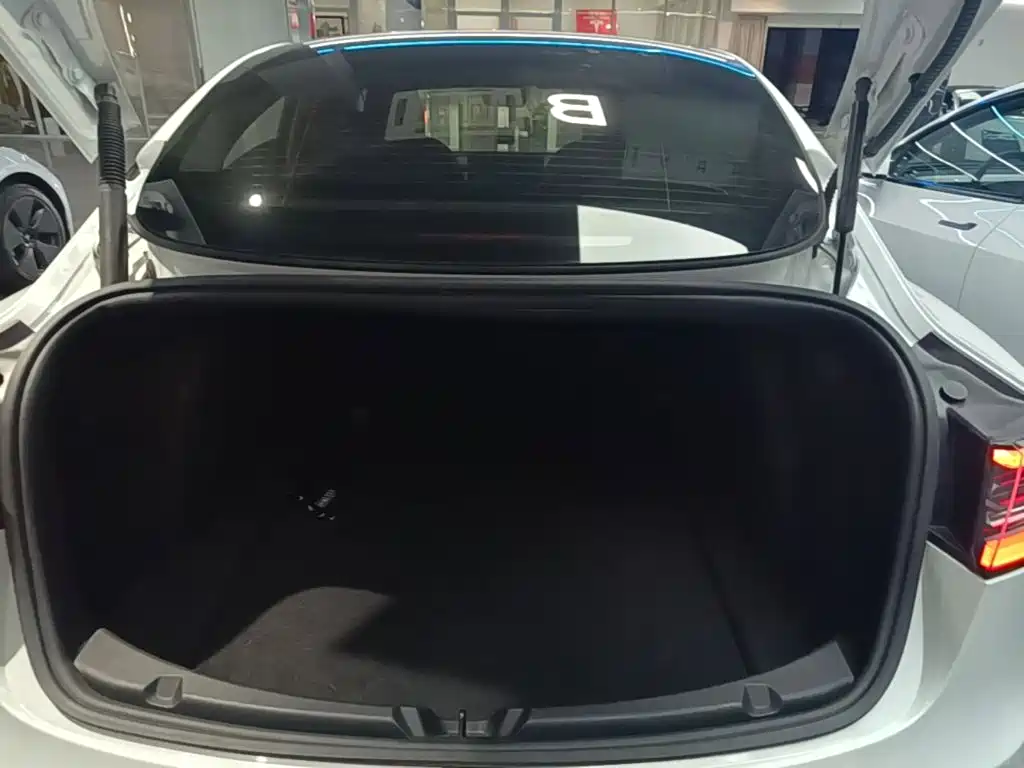 Tesla Model 3 — миниатюра 19