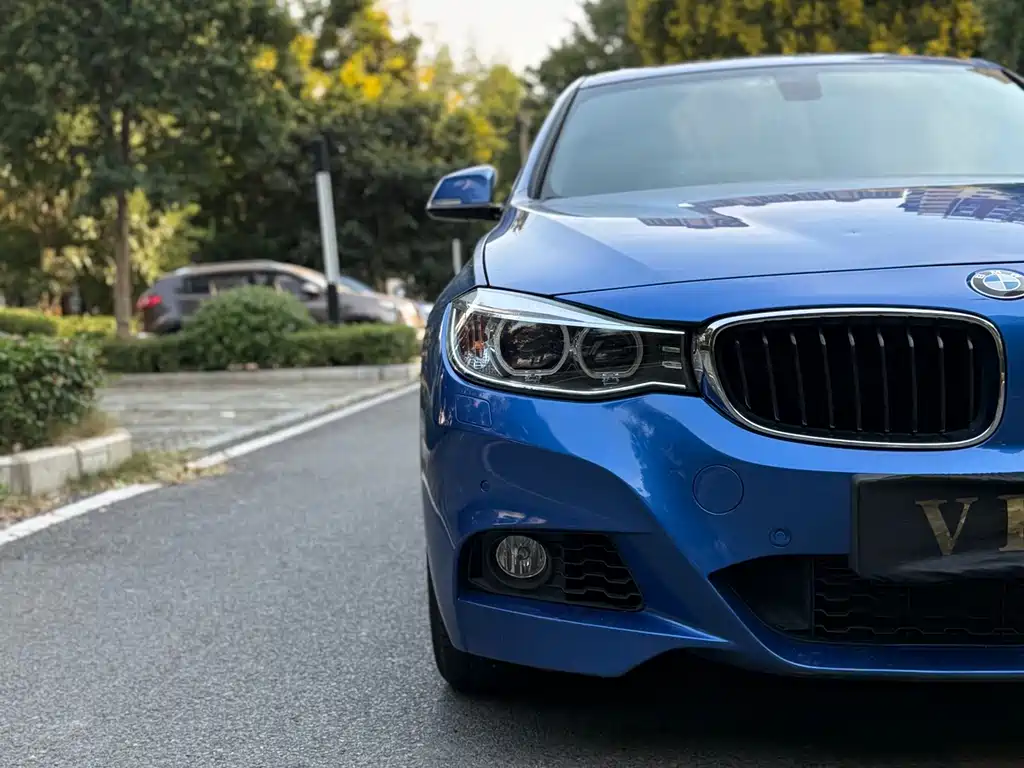 BMW 3 Series GT — миниатюра 11