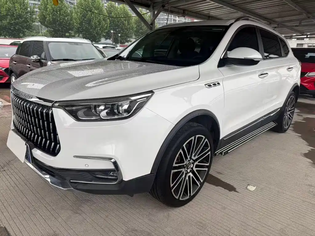 Купить Leopaard Mattu