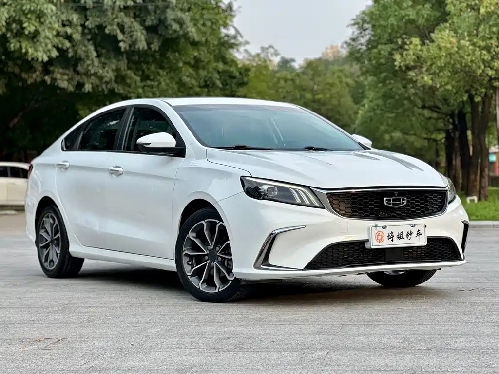 GEELY AUTOMOBILE BINRUI