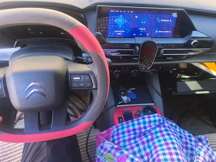 Citroen C5 X — миниатюра 12
