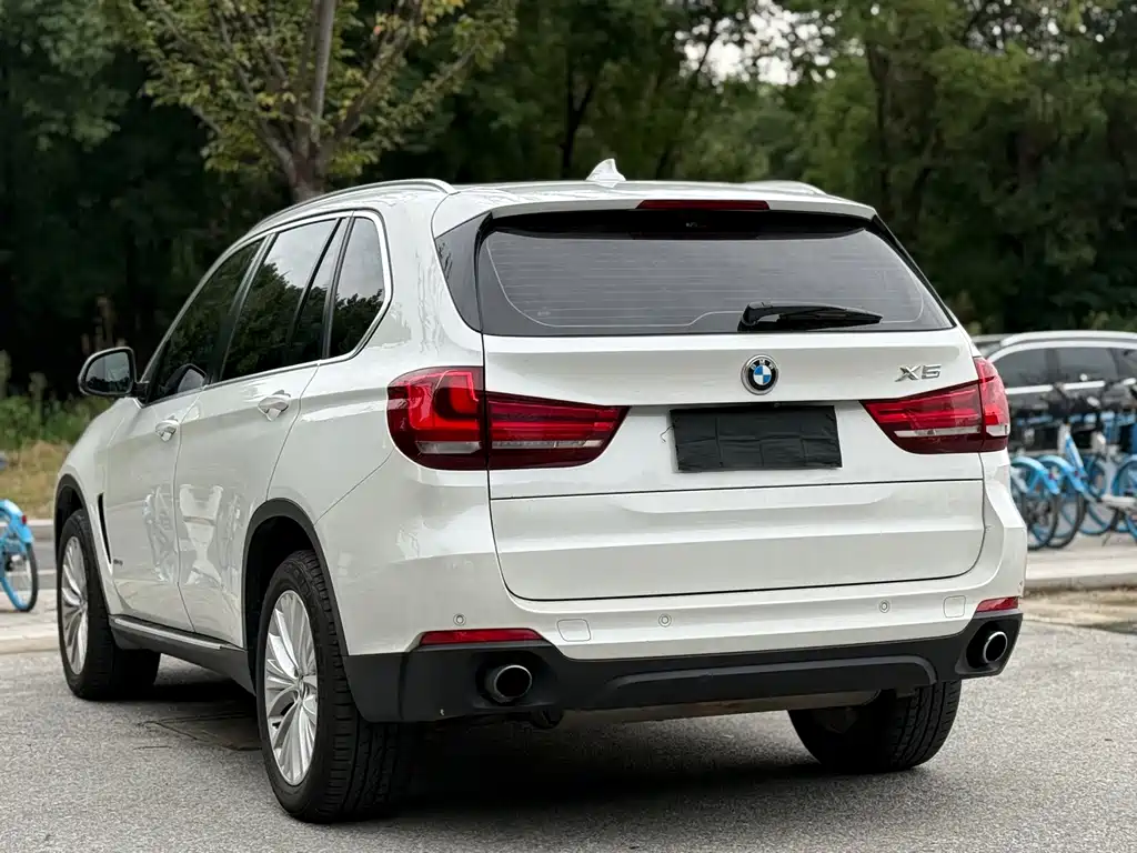 BMW X5 (Import) — миниатюра 6