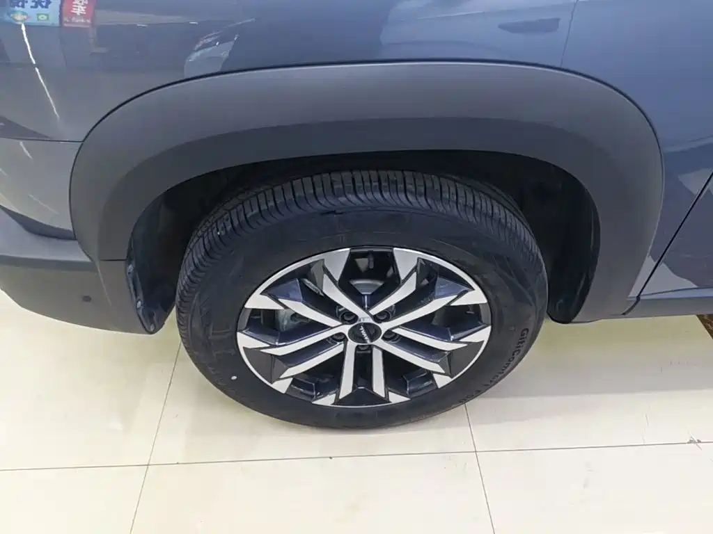 Haval 长城大狗 — миниатюра 23
