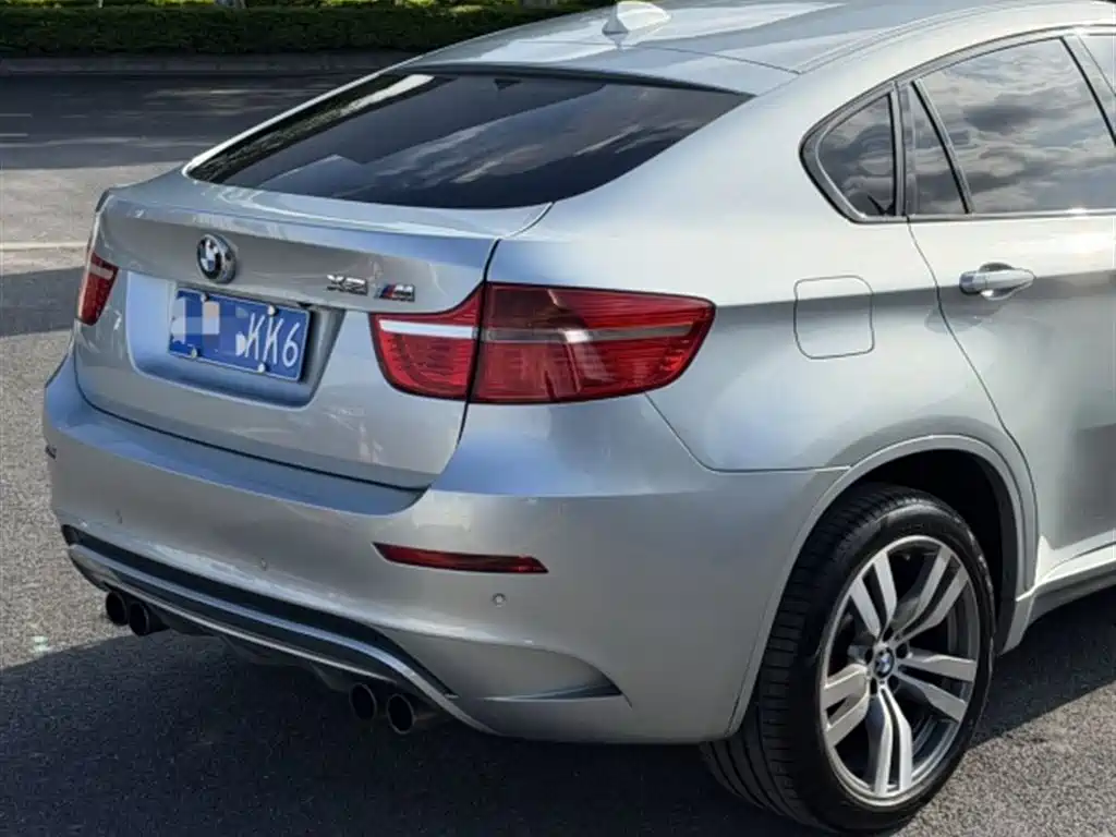 BMW X6 M 2010 X6 M