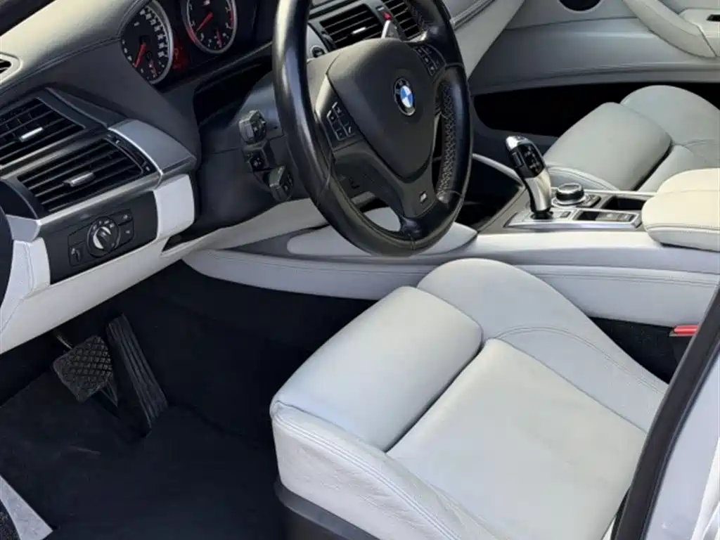 BMW X6 M 2010 X6 M
