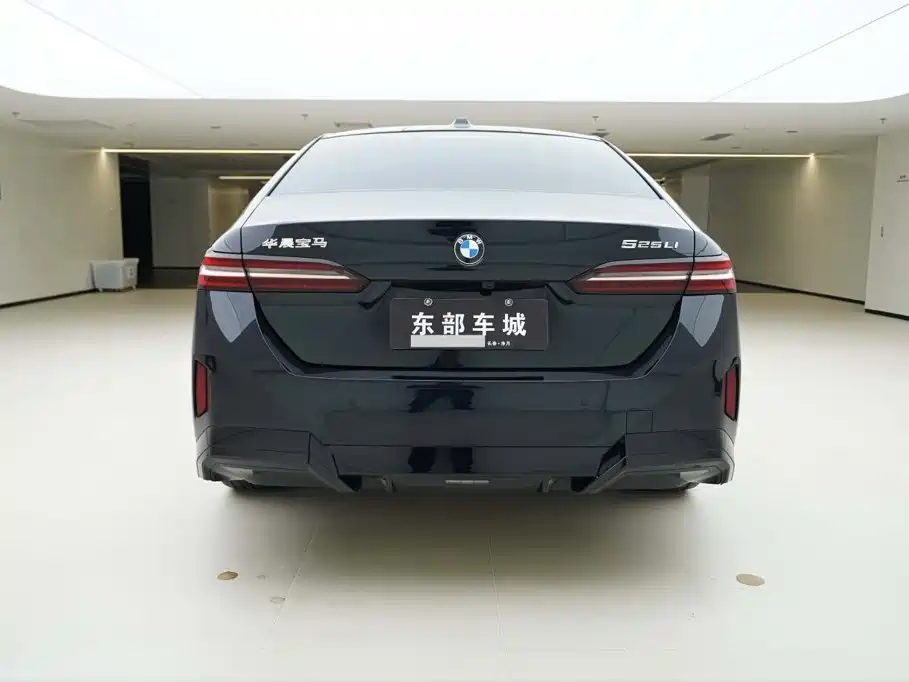 BMW 5 Series — миниатюра 5