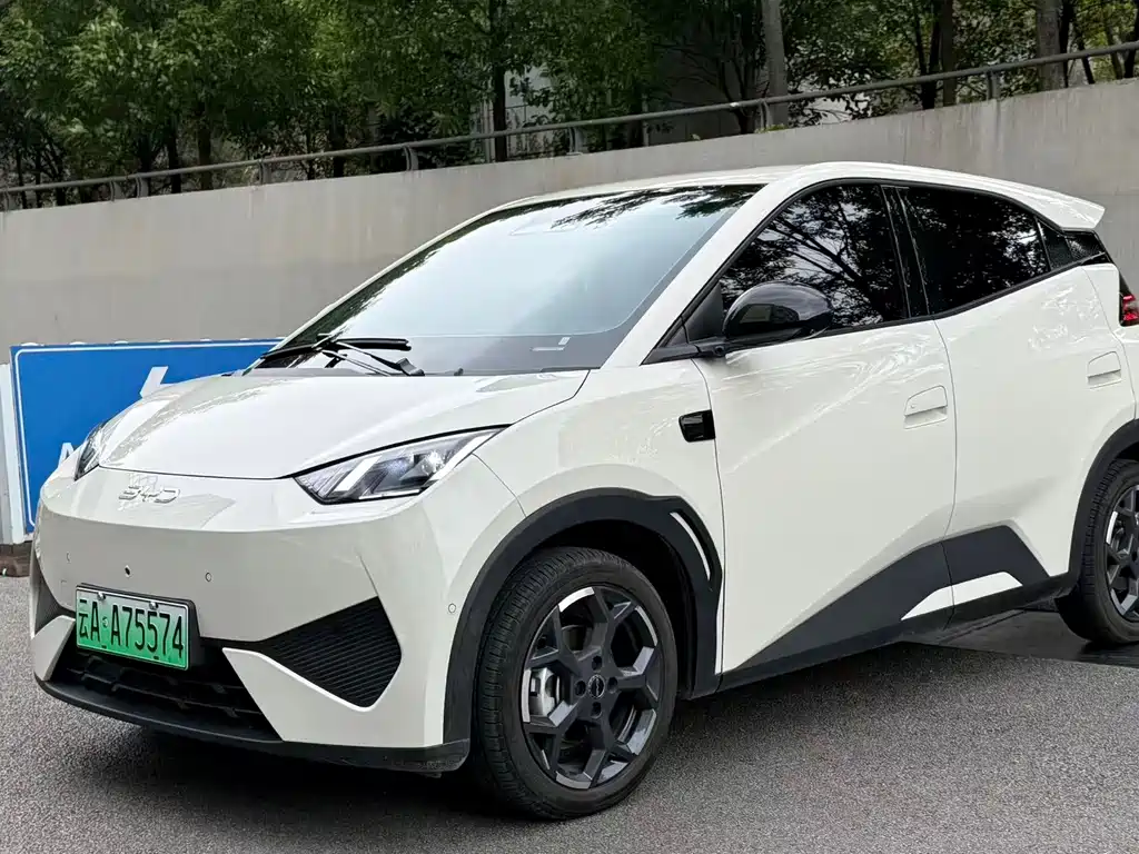 BYD Seagull