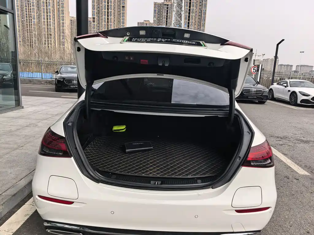 MERCEDES-BENZ E CLASS NEW ENERGY