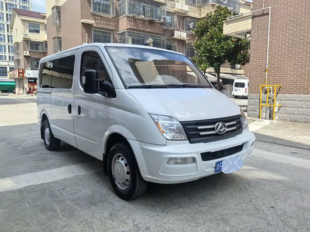 Maxus V80