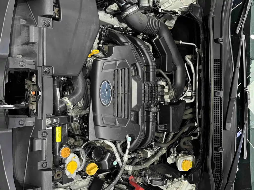 Subaru Forester — миниатюра 20