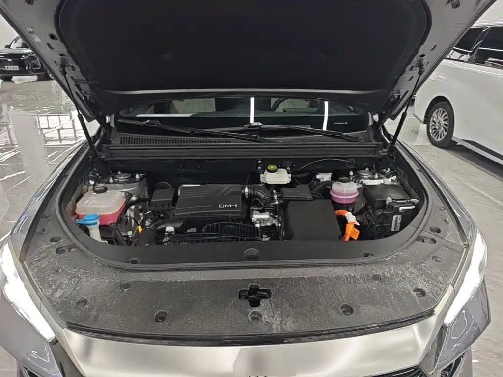 BYD Song Pro DM-i 2023 — фото 19