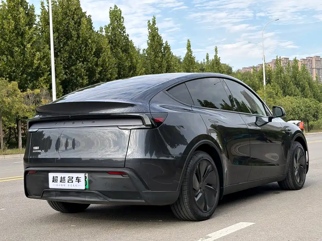 Tesla Model Y — миниатюра 17