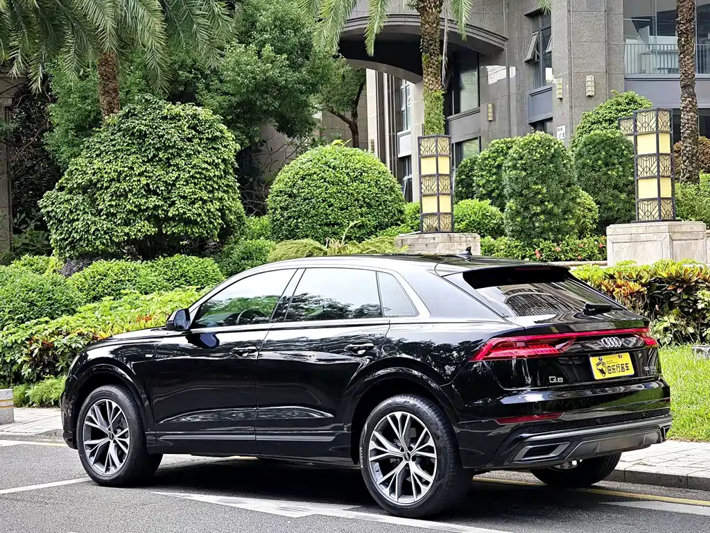Audi Q8 — миниатюра 29