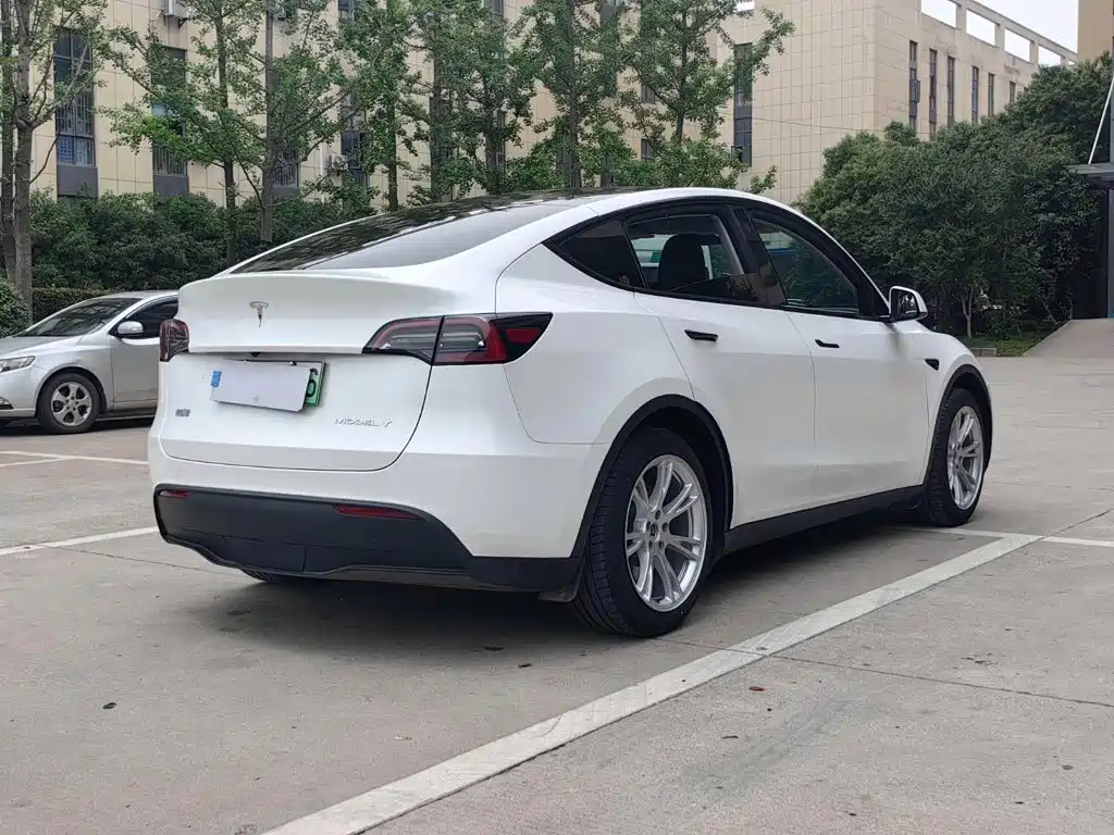 Tesla Model Y — миниатюра 13