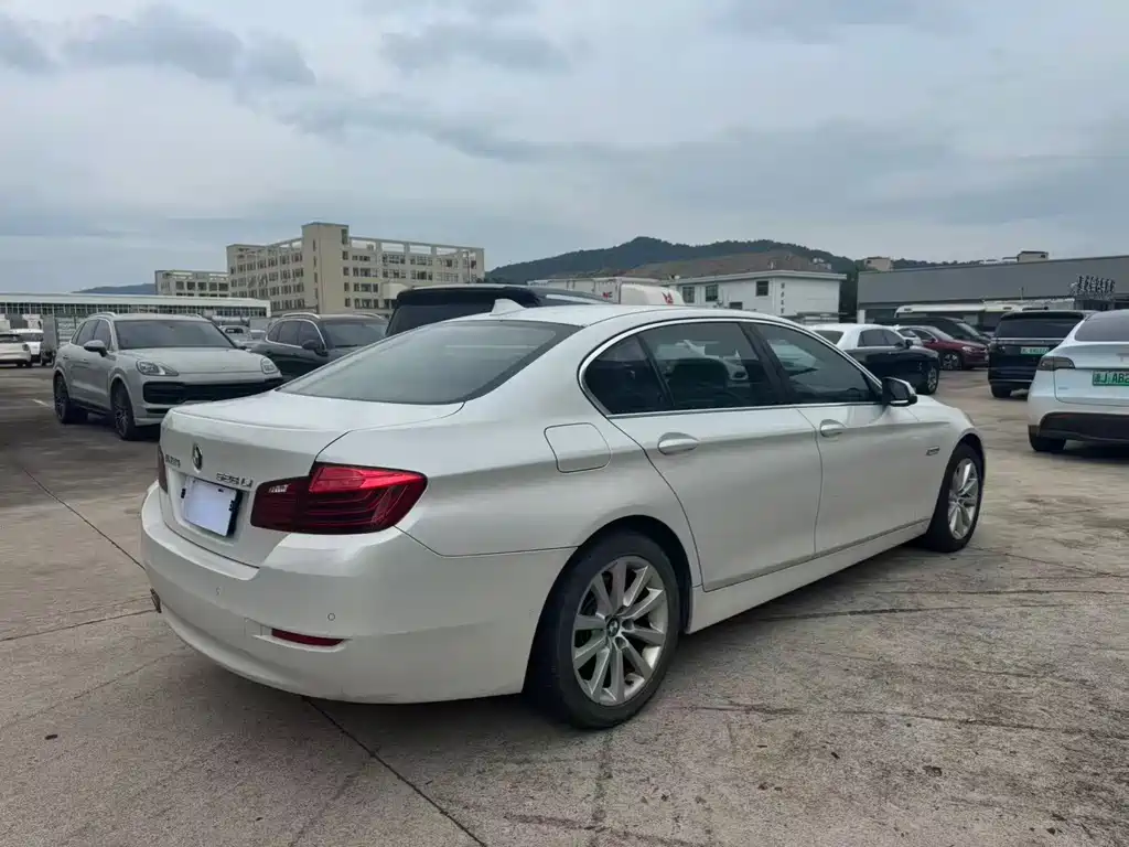 BMW 5 Series 5 2014 528Li Lead