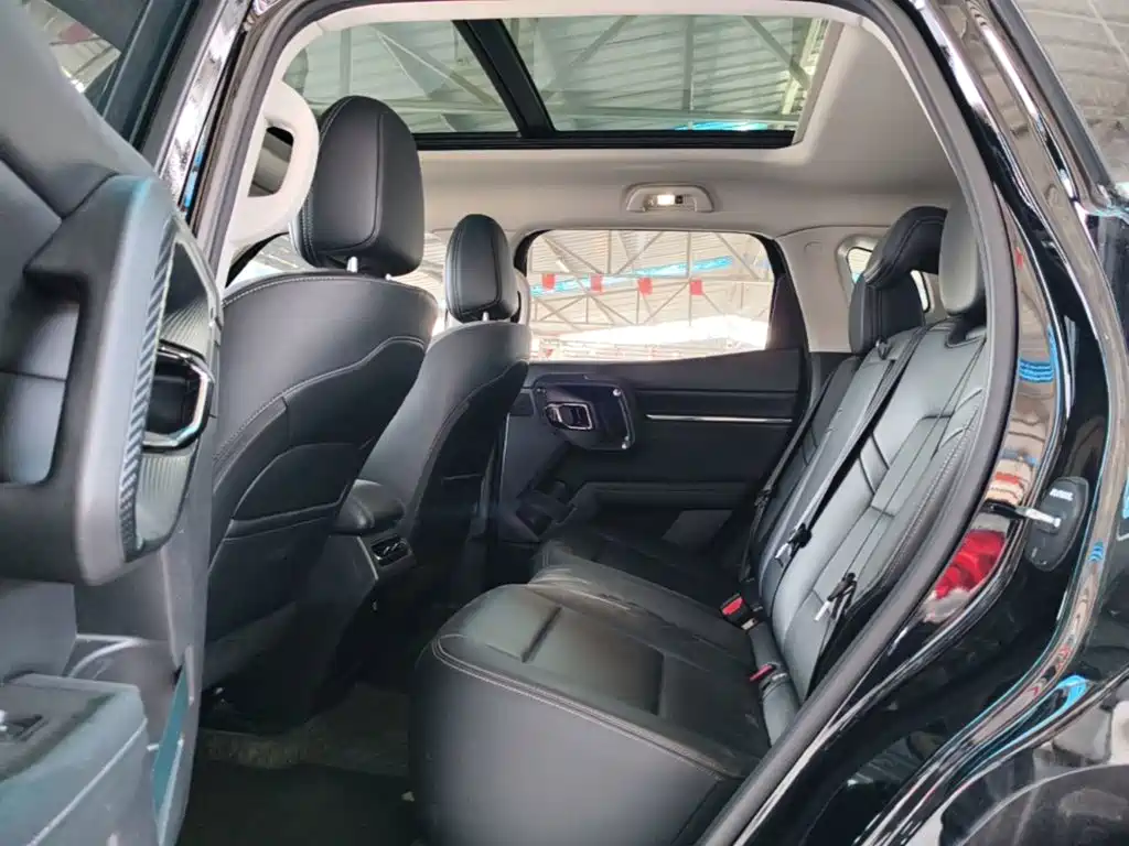 Haval Big Dog PLUS — миниатюра 17