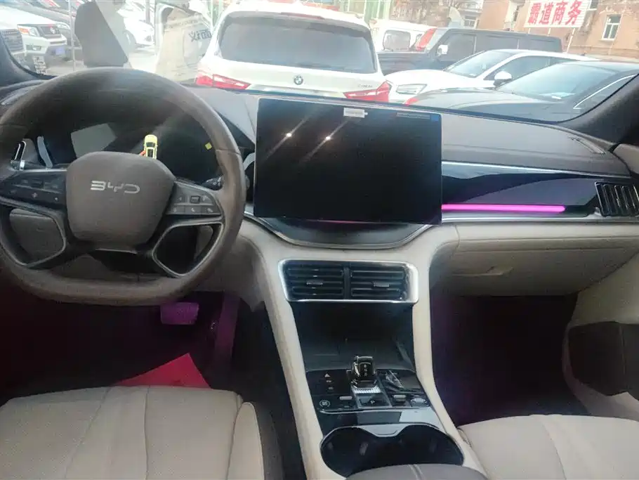 BYD SONGJIANG NEW ENERGY