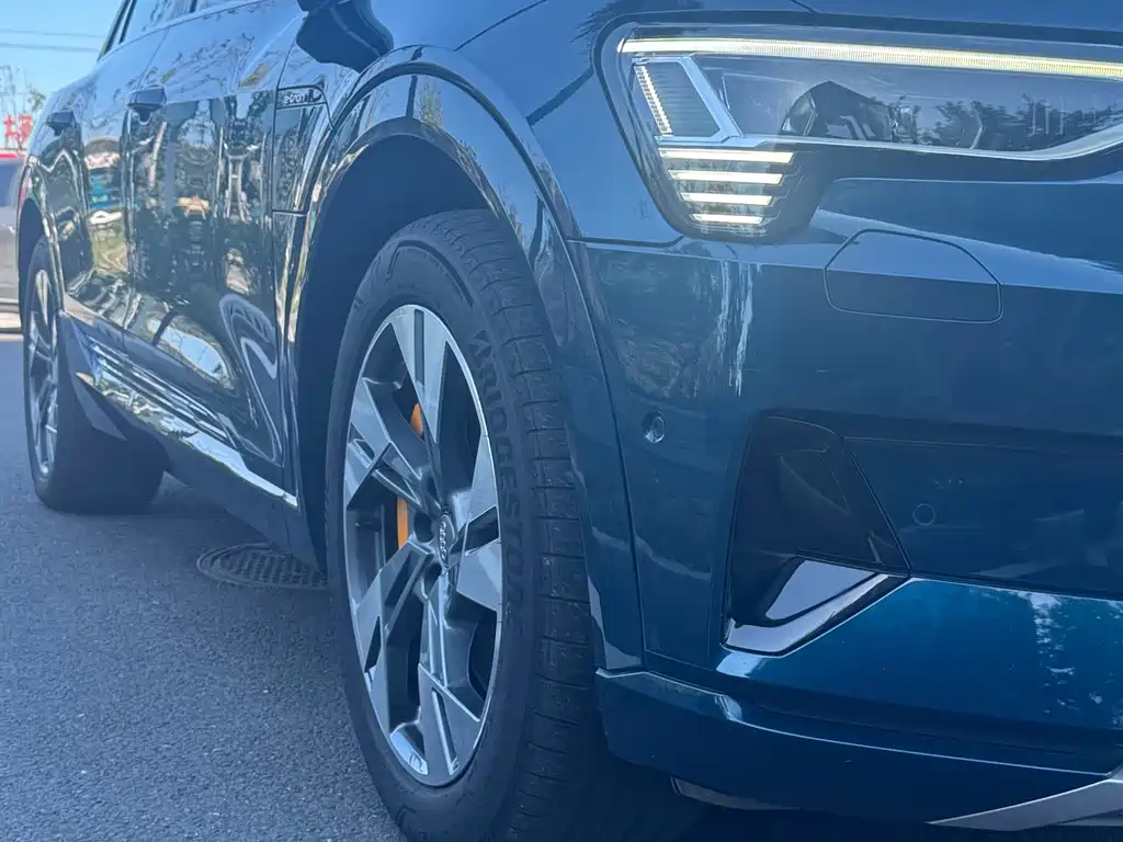 Audi e-tron (Import) — миниатюра 11