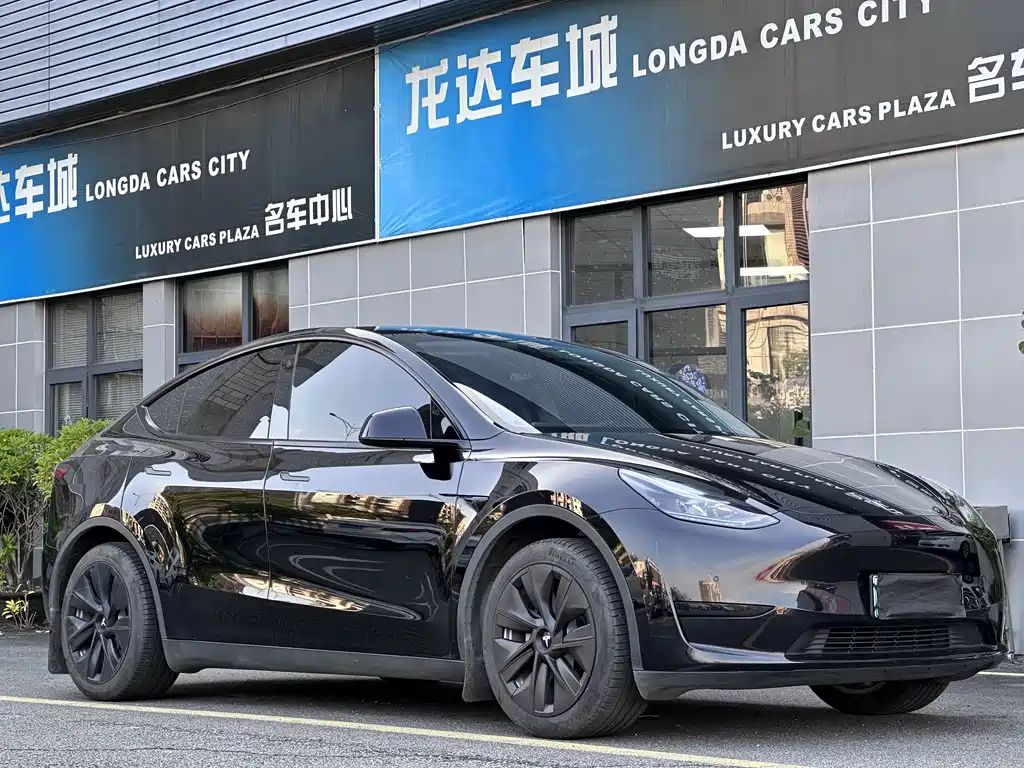 Tesla Model Y — миниатюра 3
