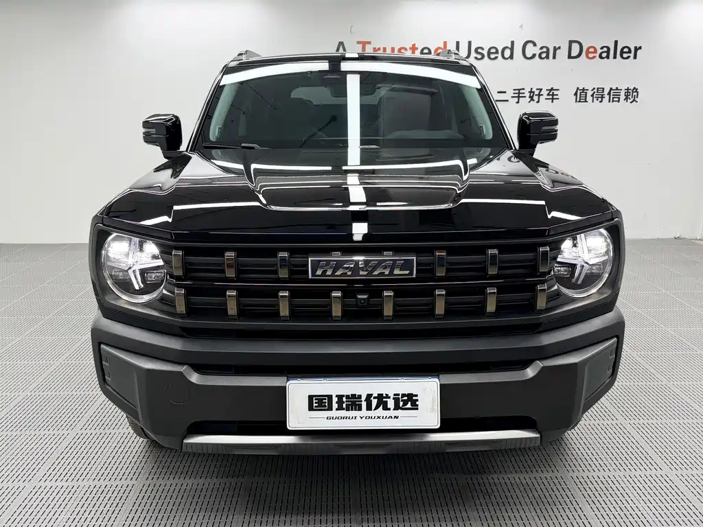 Haval Cool Dog — миниатюра 2