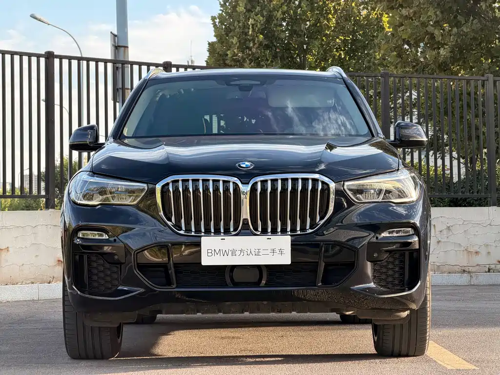 BMW X5 (Import) — миниатюра 8