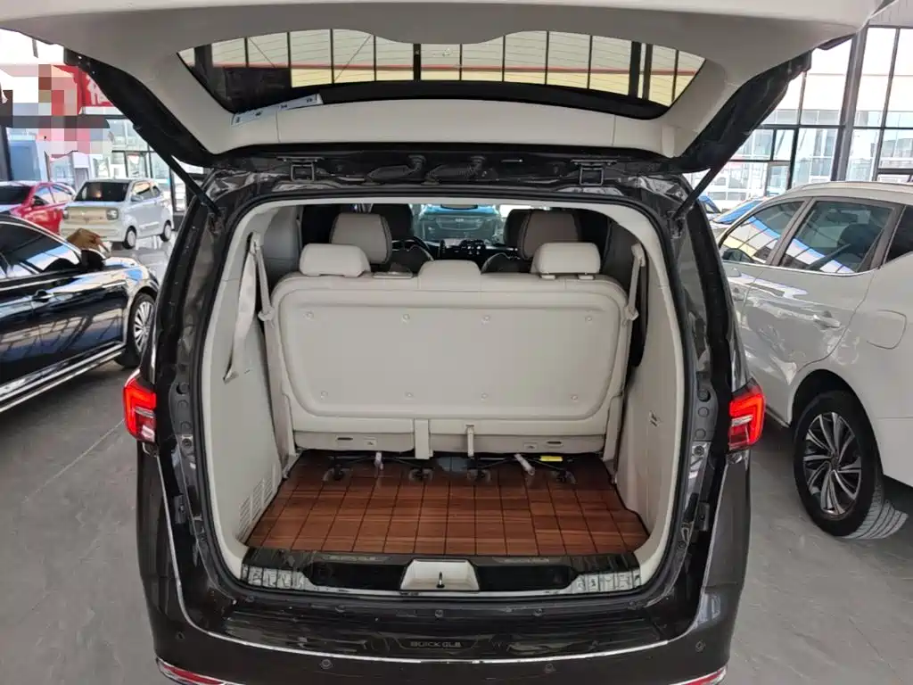 Buick GL8 — миниатюра 19