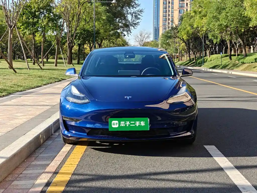 Tesla Model 3 — миниатюра 3