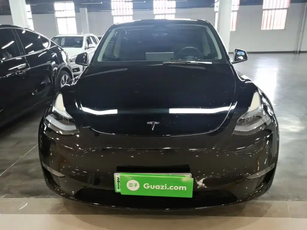Tesla Model Y — миниатюра 3