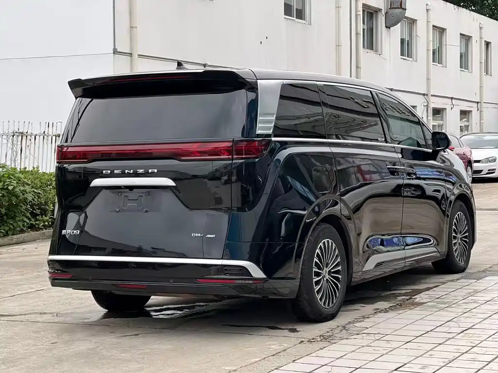 Denza Denza D9 — миниатюра 11