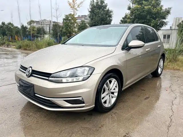VOLKSWAGEN GOLF 2019