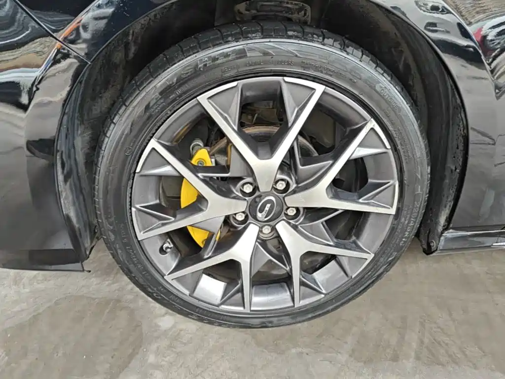 GAC Motor Shadow Leopard — миниатюра 23