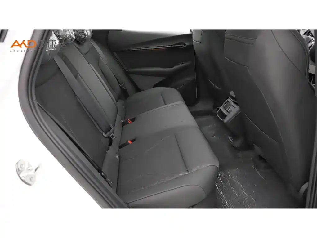 VOLKSWAGEN WITH THE CROWD 06