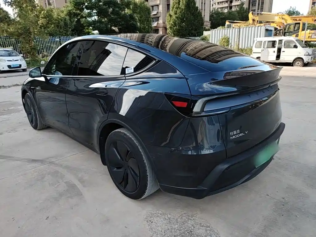 Tesla Model Y — миниатюра 5