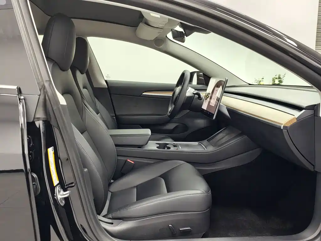 Tesla Model 3 — миниатюра 19