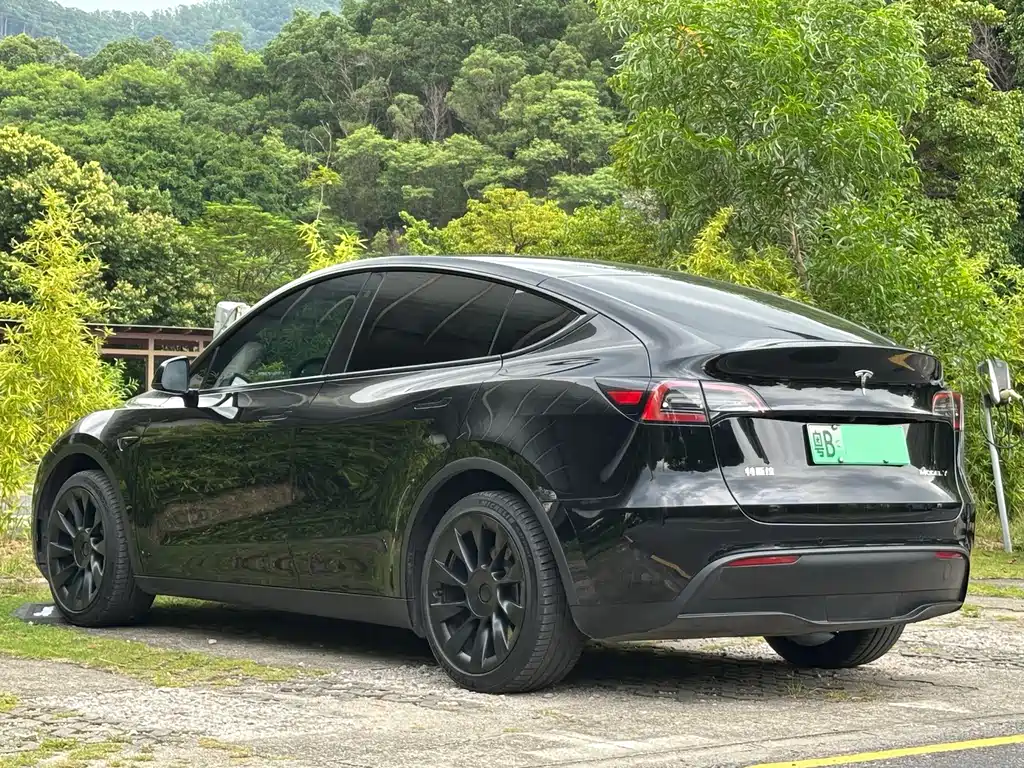 Tesla Model Y — миниатюра 14