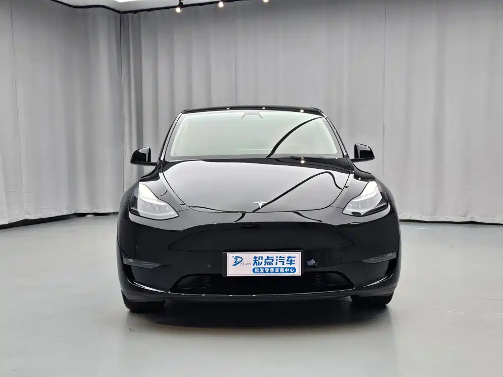 Tesla Model Y — миниатюра 2