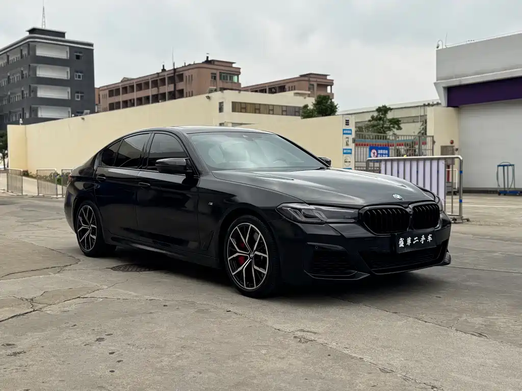 BMW 5 Series (Import) — миниатюра 3