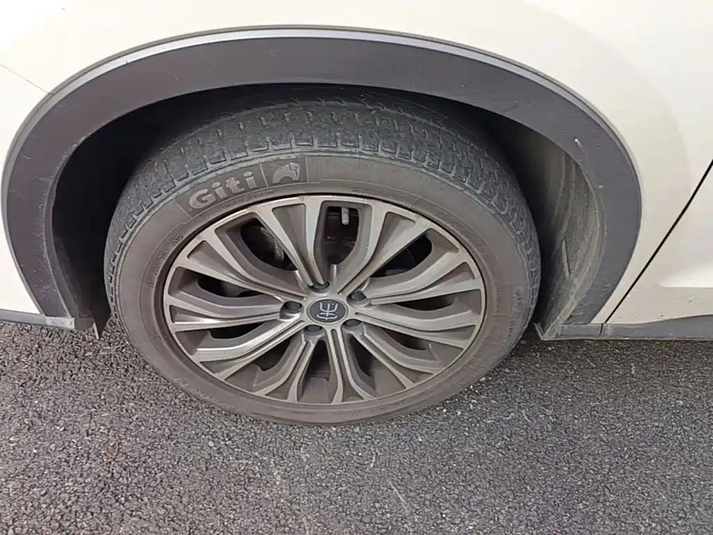 BYD Pro New Energy — миниатюра 23