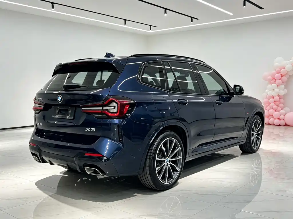BMW X3 — миниатюра 8