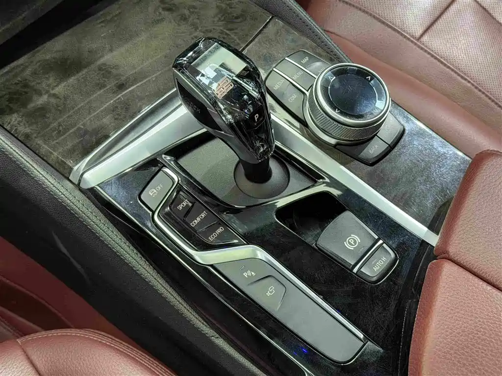 BMW 5 Series 5 2019 530Li Premium M Sport